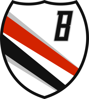Logo Thème Blazers